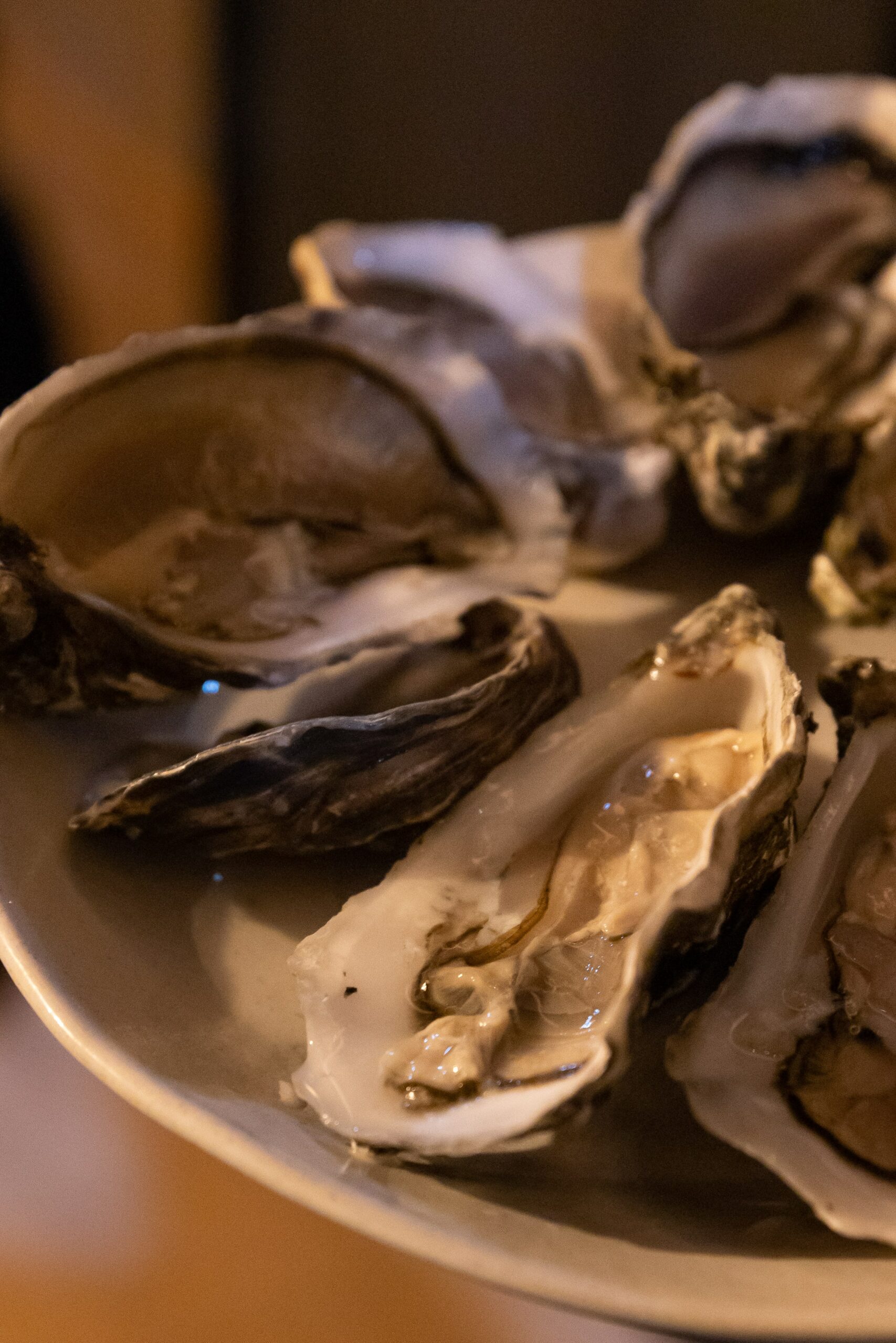 Ostras calidad amicitia