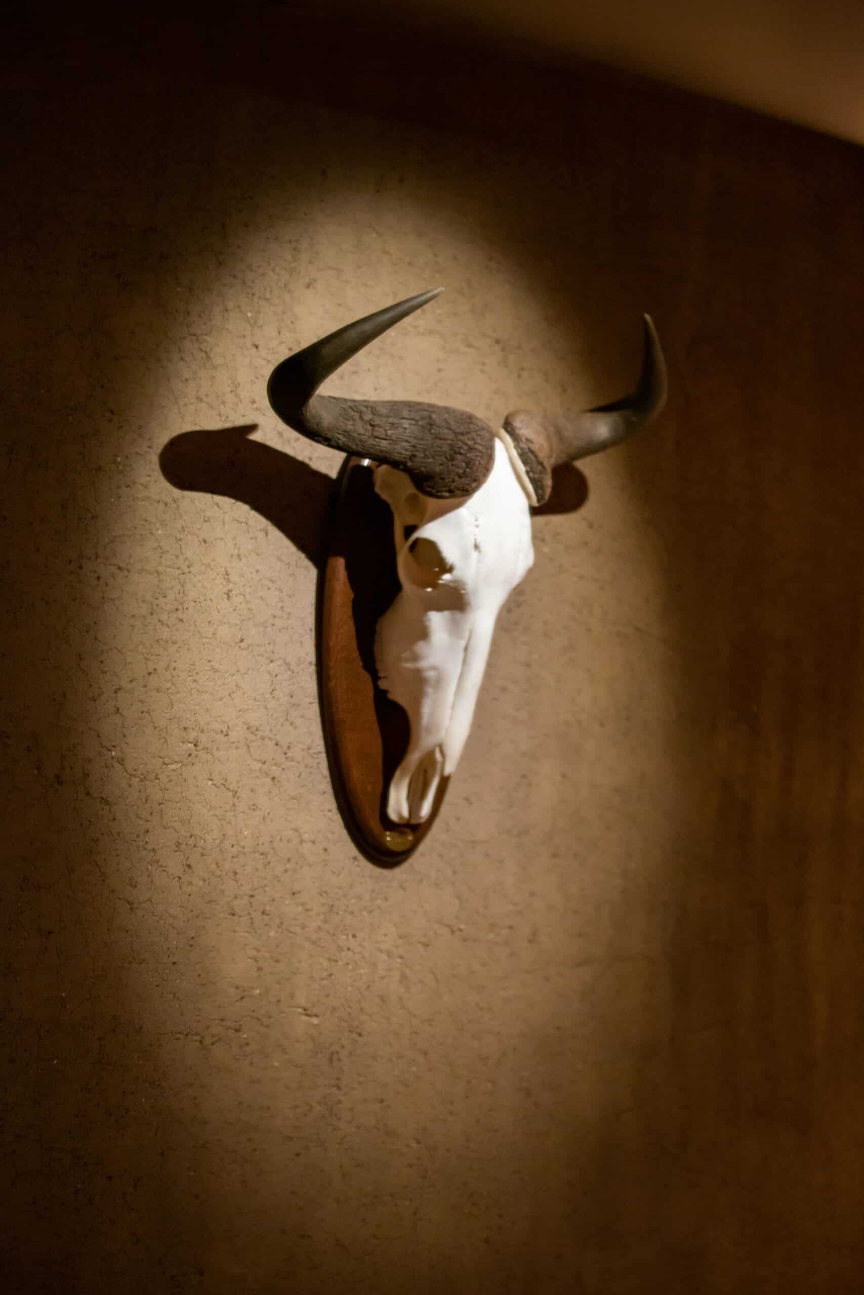 Decoración restaurante Amicitia